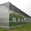 /product-detail/multi-span-high-tunnel-greenhouse-62211576148.html