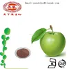 apple pectin powder food grade /dried apple extract Phloretin