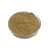 /product-detail/factory-supply-100-pure-natural-ginkgo-biloba-extract-60800910688.html