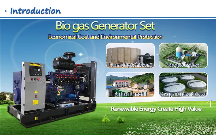 1.10 Biogas Genset