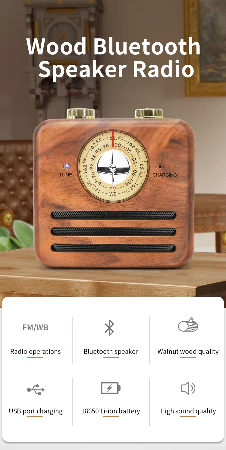 Amazon Top Seller 2020 Noaa Radio Audio Speaker Mini BT Speaker