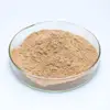 Bulk supply Chinses Angelica P.E. Dong quai extract powder by fast shipping