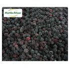 Chinese Export Standard Iqf Fresh Blackberry Fruits Frozen