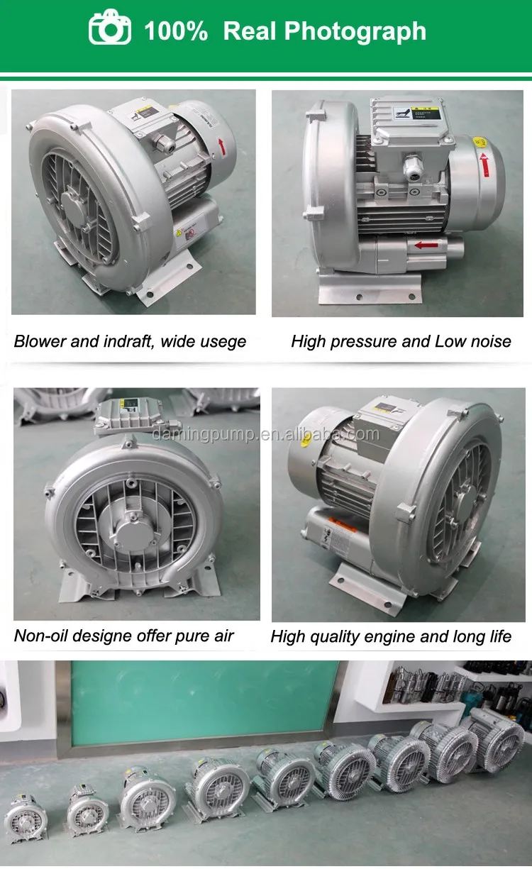 Centrifugal Air Ring Blower, 220 V, Electric - detail 6