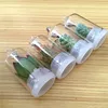 /product-detail/uchome-free-shipping-mix-style-pet-plant-with-real-cactus-key-chain-60746148143.html