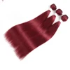 /product-detail/99j-burgundy-red-color-brazilian-straight-human-hair-bundles-100gram-pc-62032325508.html