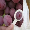 2018 Chinese Sweet fresh red Red grape Bulk grape price for sale