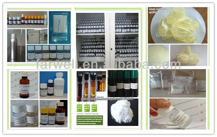 Sample Exhibition
