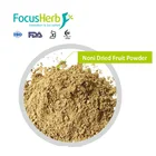Focusherb Natural Noni Fresh Fruit Extract Powder