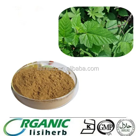 Factory supply 100% Natural Hawthorn Berry Leaf Extract
