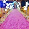 /product-detail/3d-rose-petal-flower-wedding-carpet-aisle-runner-for-wedding-hall-60790874884.html