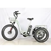 /product-detail/48v-500w-front-drive-motor-battery-powered-three-3-wheel-fat-tire-tyre-cargo-electric-bike-tricycle-62200718977.html