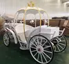 /product-detail/white-electric-cinderella-pumpkin-horse-carriage-wedding-carriage-62058422439.html