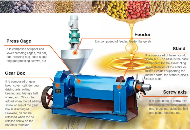 Factory price rosehip seed oil pressing machine for essential oil extracting