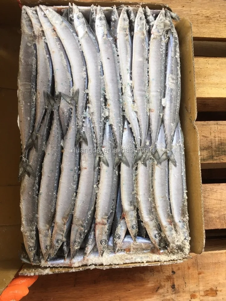New Catching Frozen W/R Pacific Saury 1# 2# 3#,4# size Hot Sale
