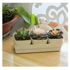 Pots Manufacturer Hot Selling Recycle Green Living Bamboo Fiber Flower Pots