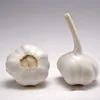 Chinese Fresh White Garlic
