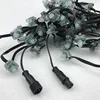 Outdoor Waterproof 12mm WS2811 Black wire Square Pixel Led Modules Light with 20cm pigatail waterproof connector
