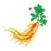 /product-detail/supply-dried-panax-ginseng-root-209774392.html