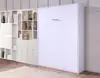 Factory Direct Smart Furniture Single Room Hidden Folding Wall Bed