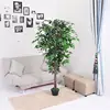 Best seller OEM quality artificial plant trees green ficus