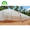 /product-detail/low-cost-used-greenhouse-frames-greenhouse-with-200micron-plastic-film-for-planting-and-for-flower-62054935596.html