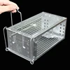 /product-detail/galvanized-or-pvc-coated-humane-live-multi-catch-mouse-rat-animal-trap-cage-60793067022.html