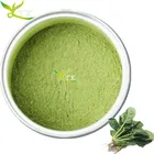 Hot Sale Organic Spinach Powder Extract