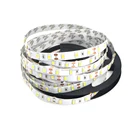 Exterior High Lumens 12 24 Volt Led Strip Light Ribbon Tape 10 Foot 12V Tape Kit