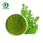 Freeze Dried Soluble Moringa Leaf Extract Powder India