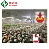 China Factory Supplies Modern Chicken Farm Names and Automatic Equipment for Broiler Poultry