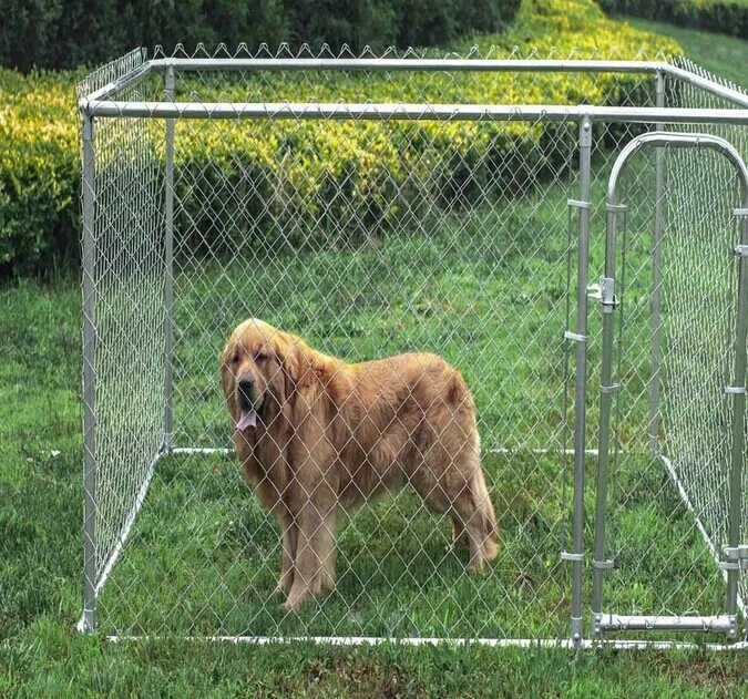 Chain Link Double Dog Kennel Lowes/dog Kennel Building,10x10x6 Foot