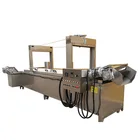 Popular Industrial Papad Plantain Soya Bean Frying Machine China Manufacturer