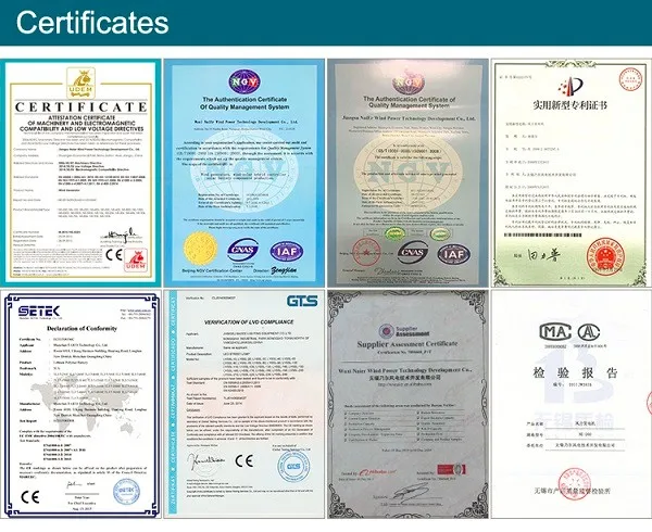 300w 12v dc wind generator 