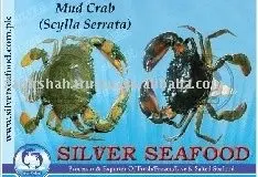 mud crab pakistan