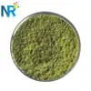/product-detail/vegetable-powder-spinach-extract-powder-80-to-200mesh-60496236991.html