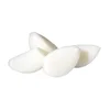 /product-detail/iqf-wholesale-garlic-clove-peeled-60821900707.html