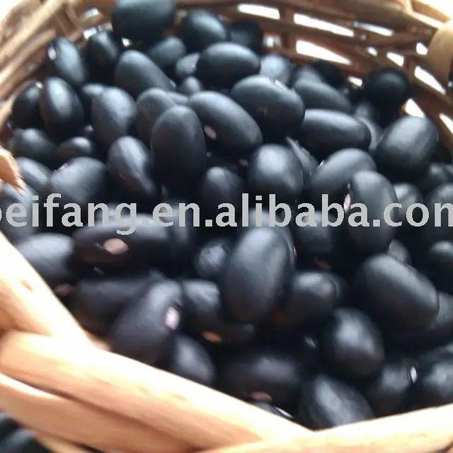 organic black bean