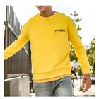Mens clothing manufacturers hoodies letter Embroidered Cotton custom hoodie with hoodies unisex color for men
