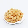 export Chinese dried scallop