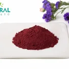 Factory Supply Spray Dried Tomato Powder for Drink