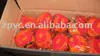 Fresh mandarin orange( mandarin ,orange ,citrus fruits,M-09)
