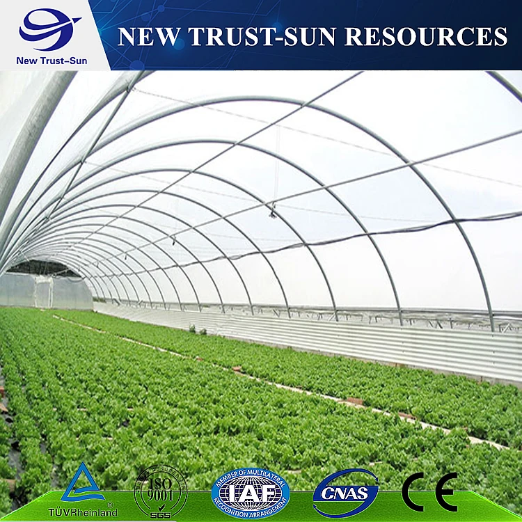  film greenhouse (39)