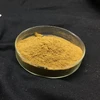 Supply papaya seeds extract powder papaya extract