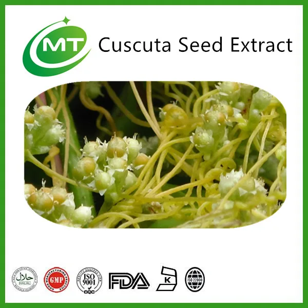 plant extracts  other extracts   product description dodder