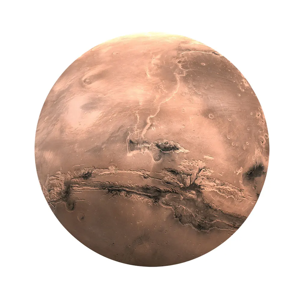 C1-8783-1