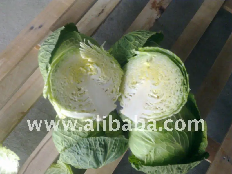 white cabbage