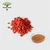 Pure natural organic goji berry plant extract powder/ wolfberry extract