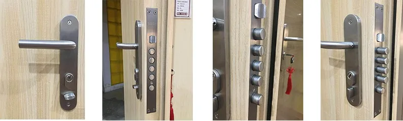 XSF-X01 Steel Door (13)