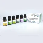 10ml bottle pack of 6 fragrance in box for Humidifiers and Diffusers Pure Essential Oil